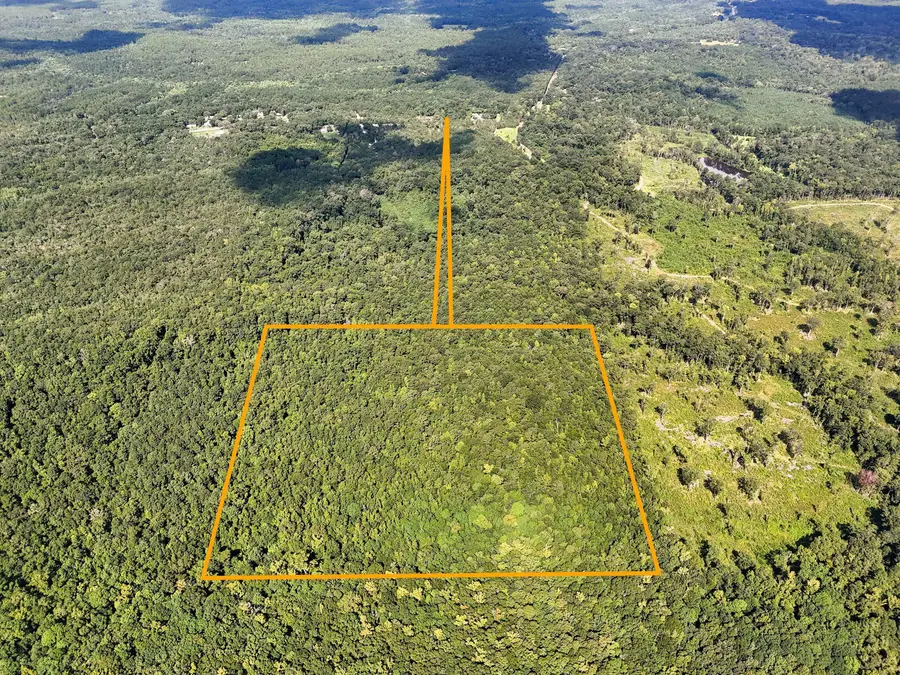 40 Acres Mossy Bend Road, Ponce De Leon, FL 32455 - #2