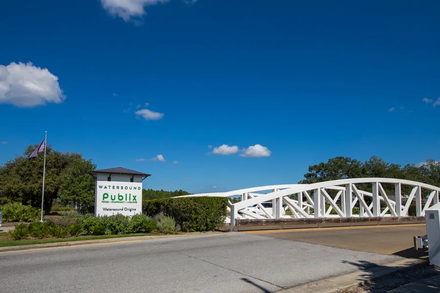 TBD Suwannee Drive #Lot 51, Watersound, FL 32461 - #3