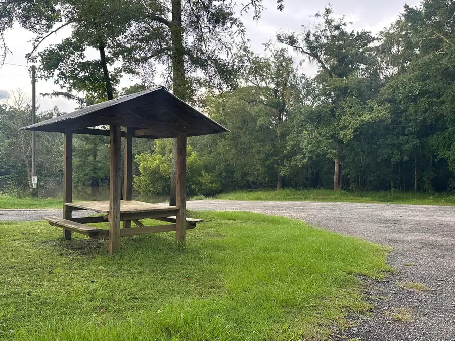 355 Riverside Circle, Wewahitchka, FL 32465 - #2