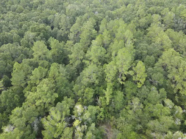 4.41 AC Summertime Drive, Holt, FL 32564
