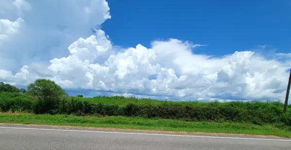 6584 E State Highway 2, Westville, FL 32464