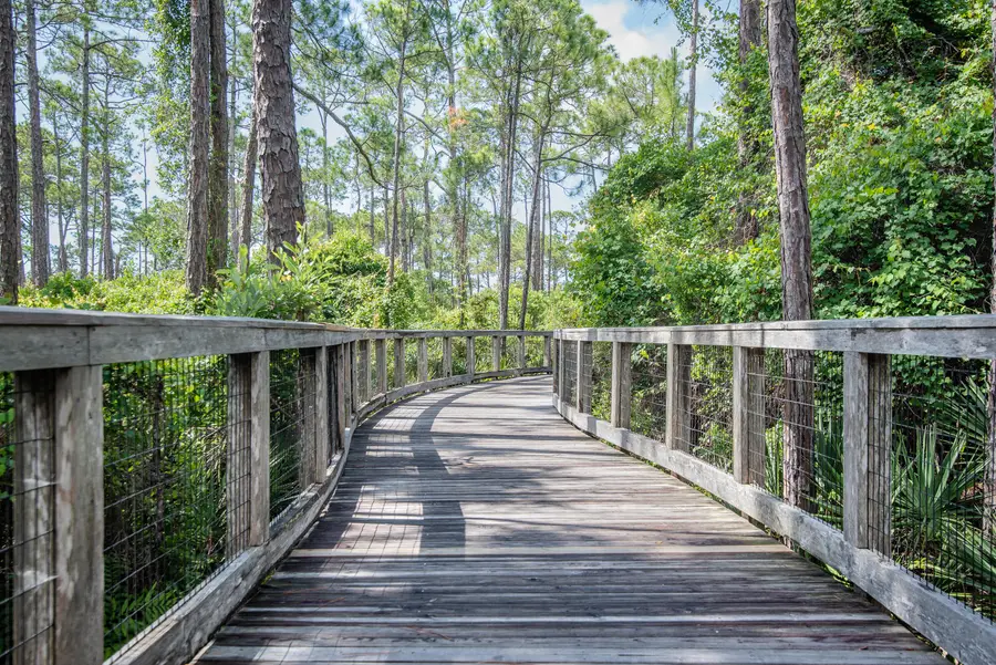 32 Full Moon Lane, Santa Rosa Beach, FL 32459 - #2