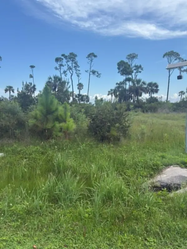Lot 2 Cape San Blas Rd, Cape San Blas, FL 32456
