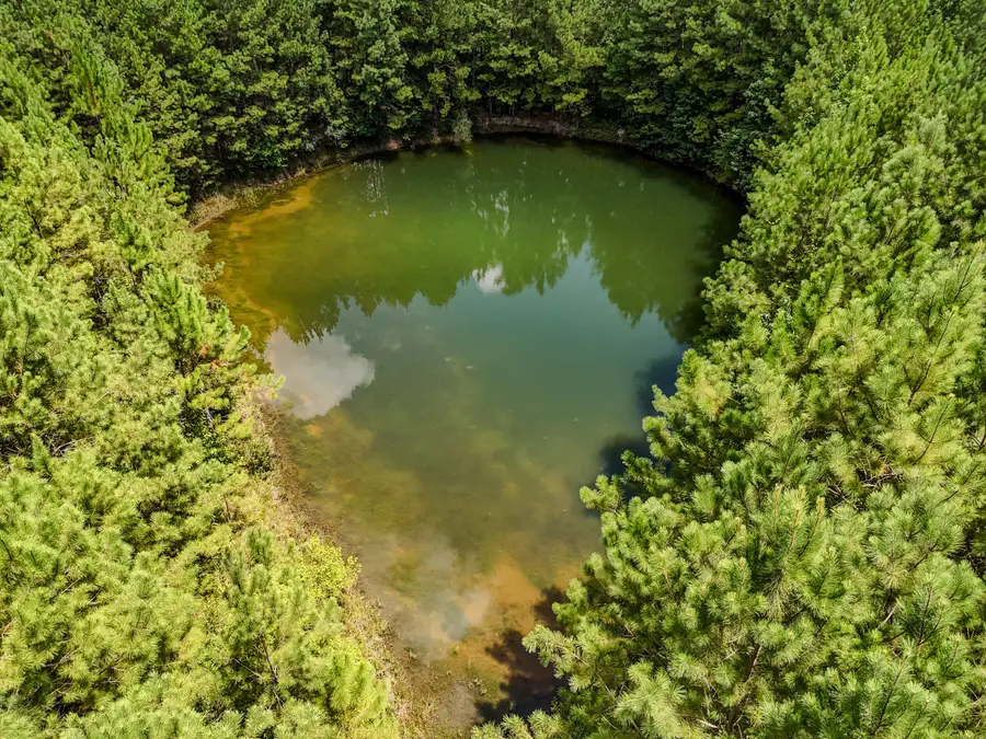 27.79 Acre County Highway 183b, Defuniak Springs, FL 32433 - #2