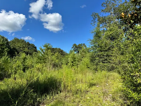 14 15 16 4th Avenue, Florala, AL 36442