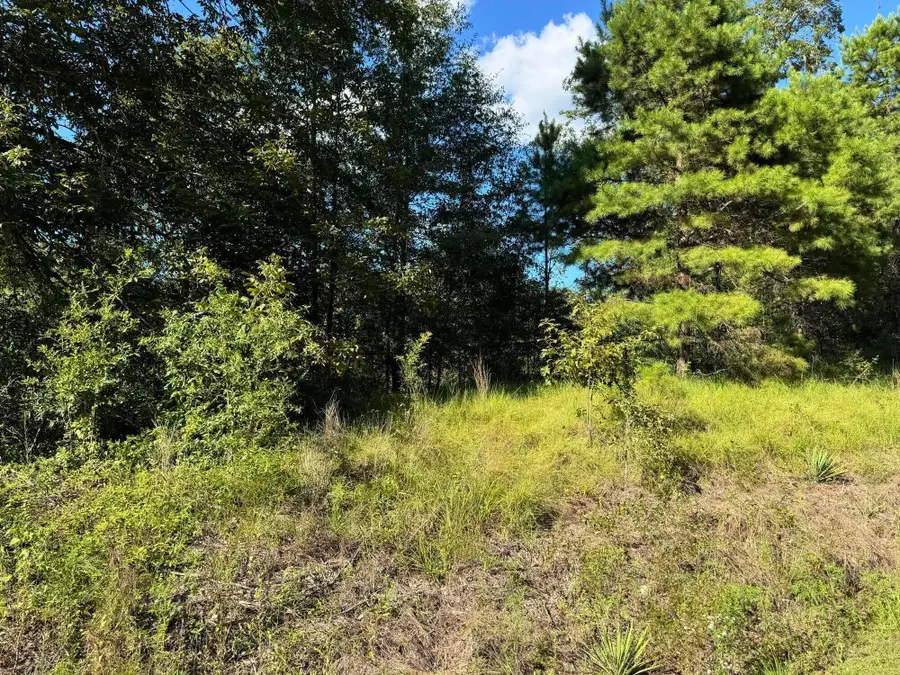 14 15 16 4th Avenue, Florala, AL 36442 - #2