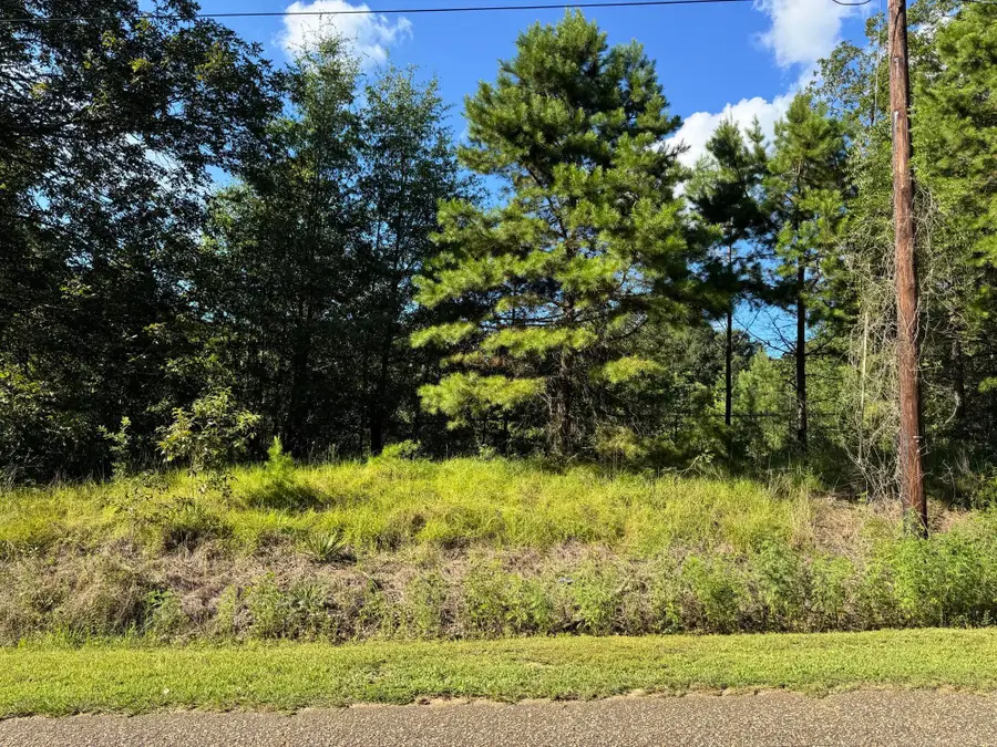 14 15 16 4th Avenue, Florala, AL 36442 - #3