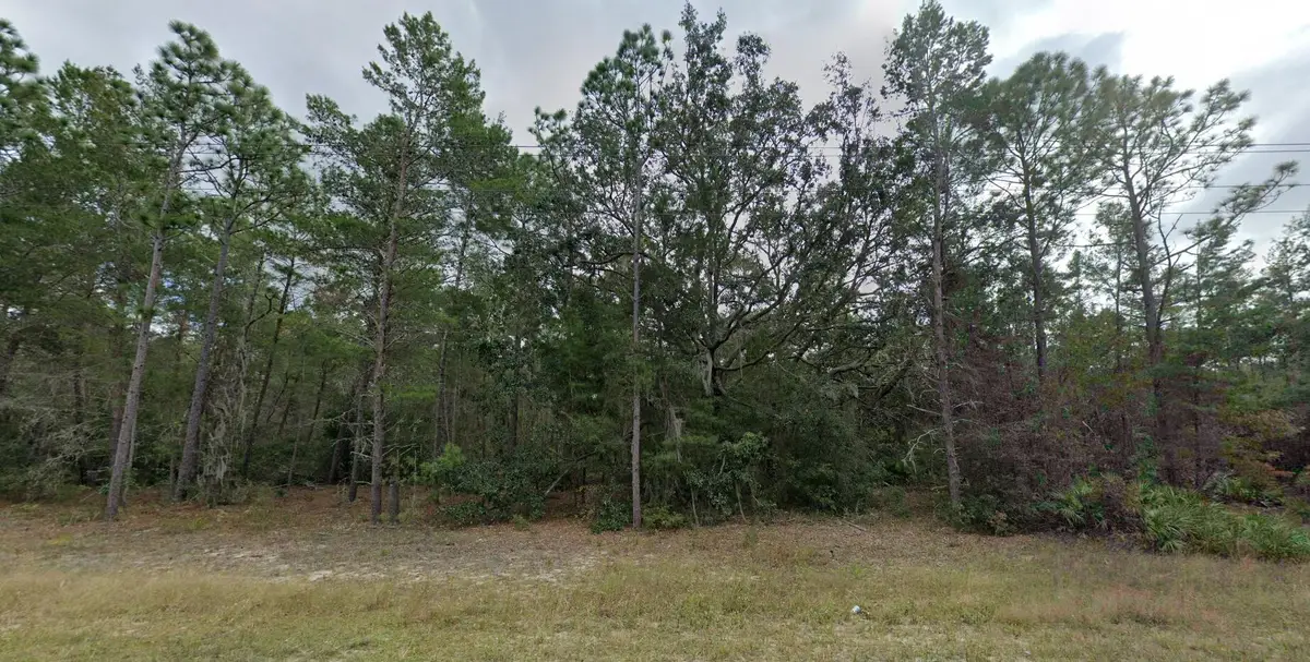 108 W Hillsborough Avenue, Florahome, FL 00N/A - #1