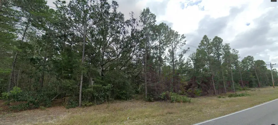 108 W Hillsborough Avenue, Florahome, FL 00N/A - #3