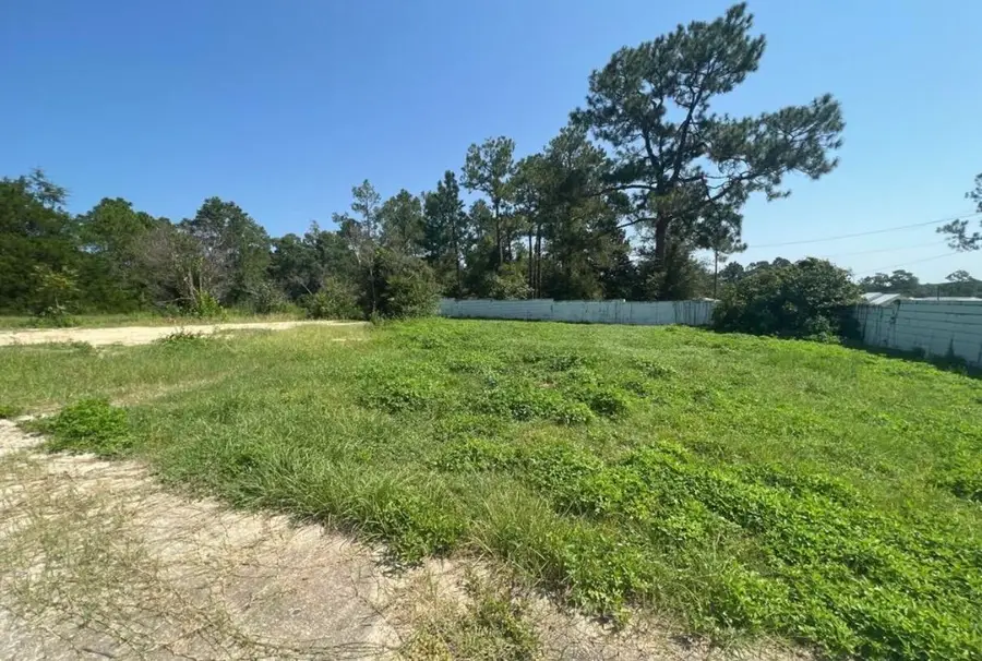 327 Ten Lake Drive, Defuniak Springs, FL 32433 - #2
