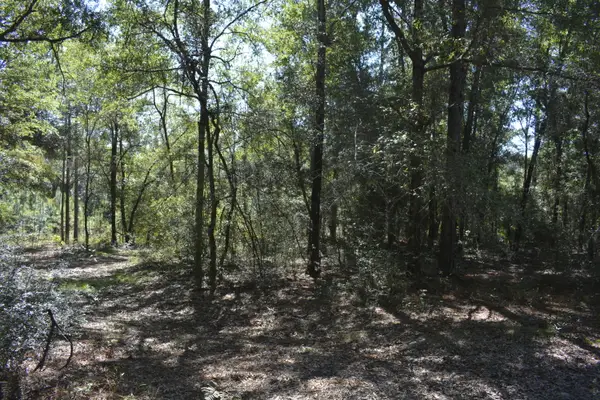 xxx 32 ac. Aplin Road, Crestview, FL 32539