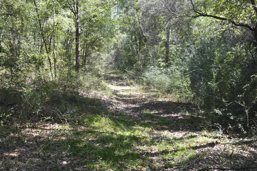 xxx 32 ac. Aplin Road, Crestview, FL 32539 - #2