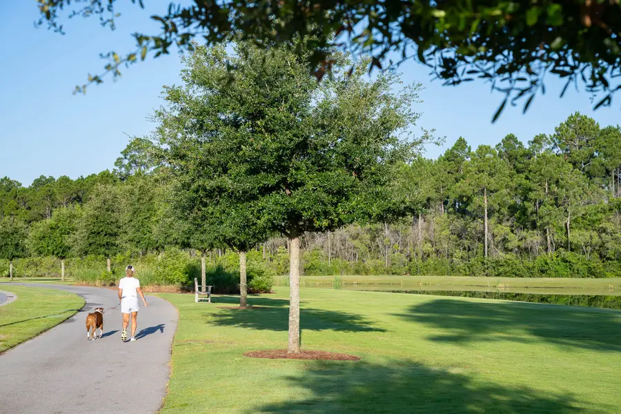 TBD Hutton Cove #Lot 54, Watersound, FL 32461 - #3