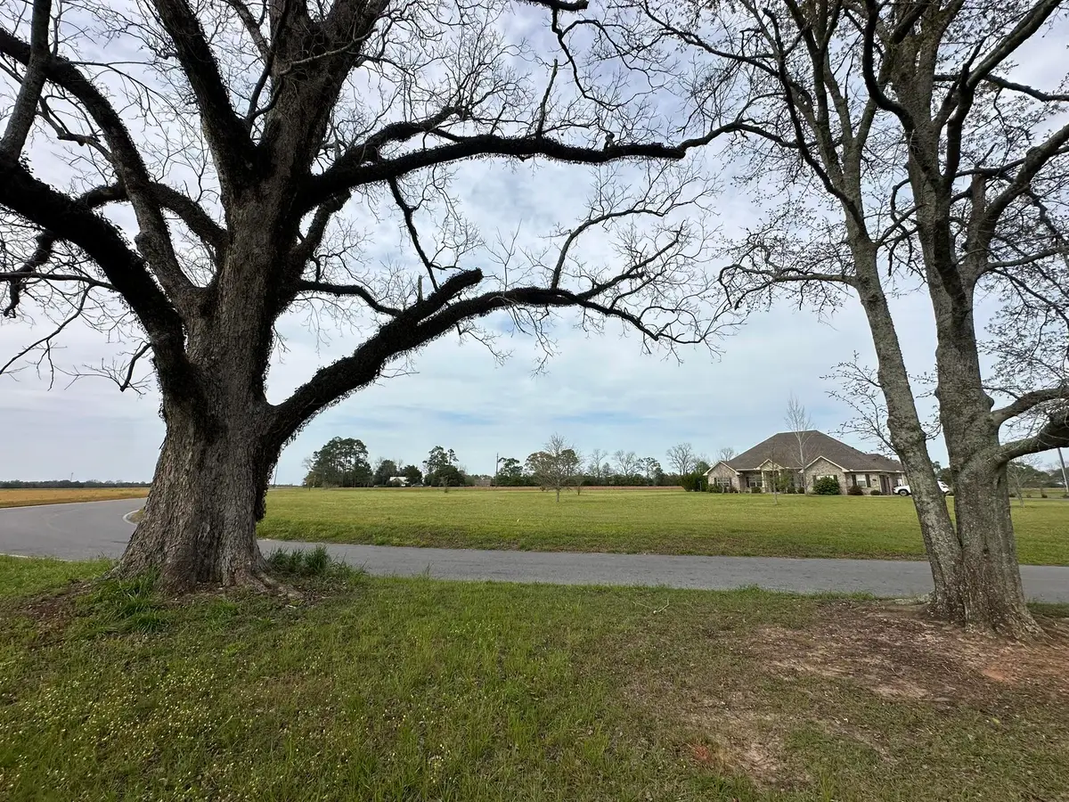 10+/- AC Vinson Ray Road, Baker, FL 32531 - #1