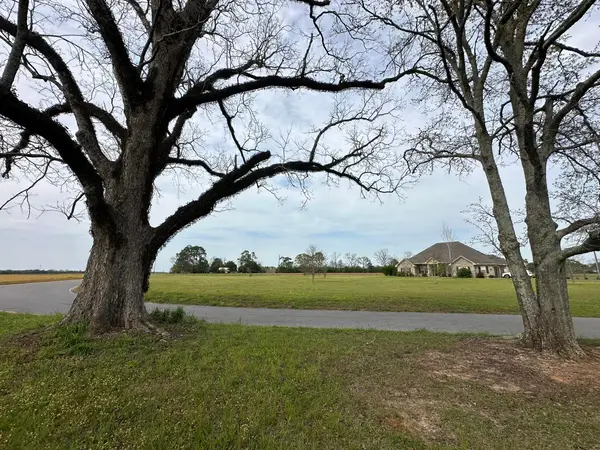 10+/- AC Vinson Ray Road, Baker, FL 32531