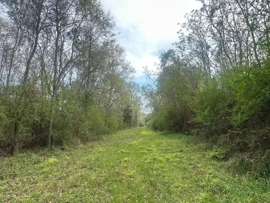 10+/- AC Vinson Ray Road, Baker, FL 32531 - #2