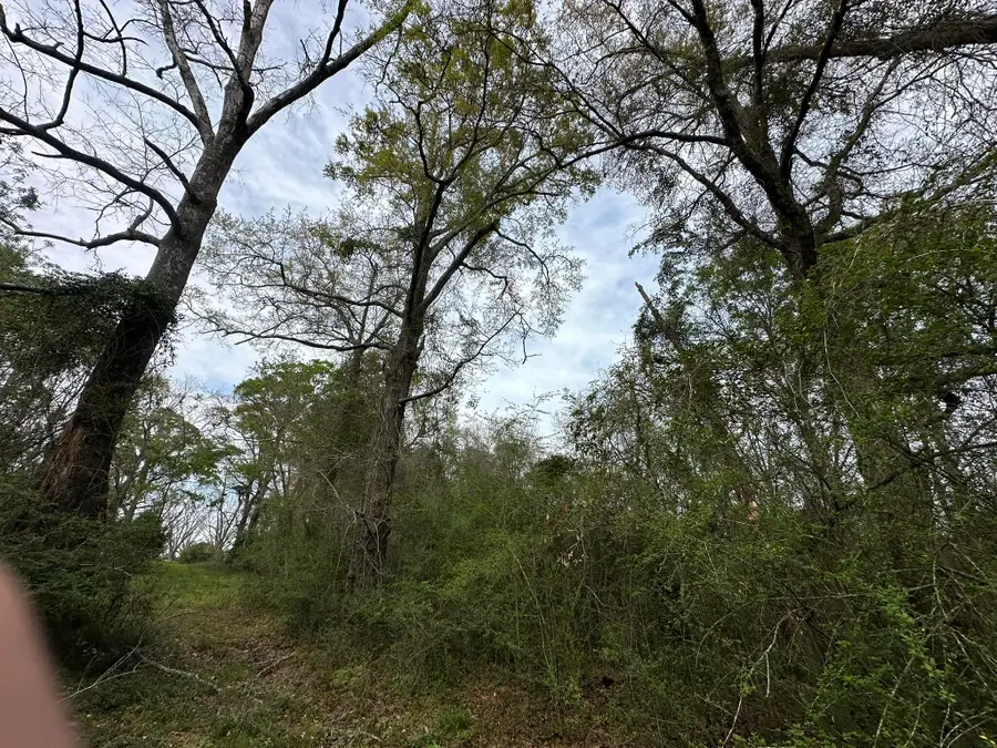 10+/- AC Vinson Ray Road, Baker, FL 32531 - #3