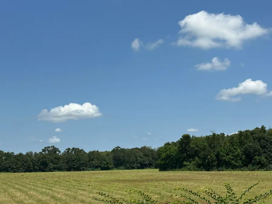 31+/-AC Cooper Lane, Holt, FL 32564 - #2