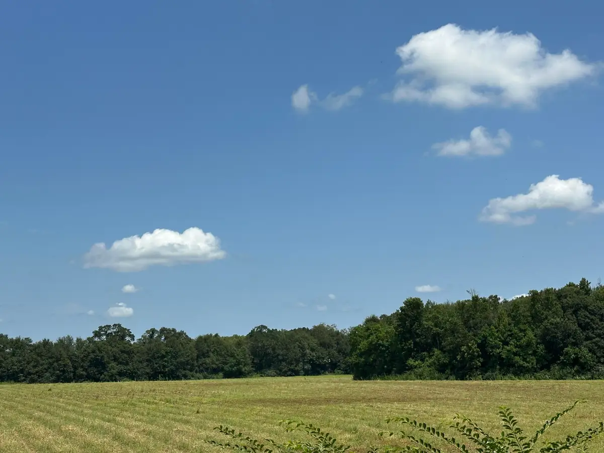 Parcel A Cooper Lane, Holt, FL 32564 - #1