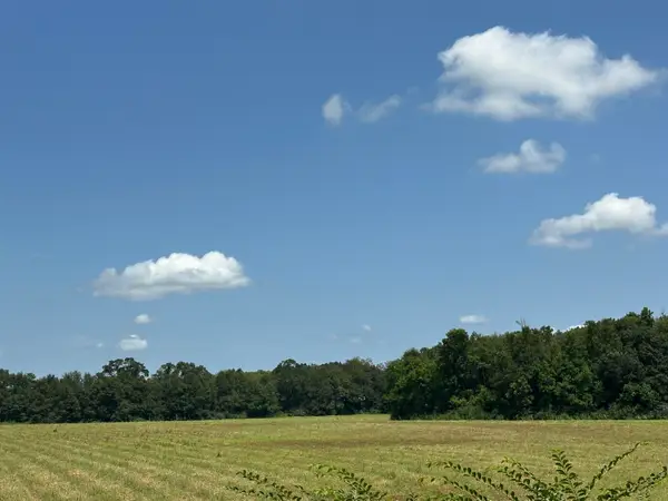Parcel A Cooper Lane, Holt, FL 32564