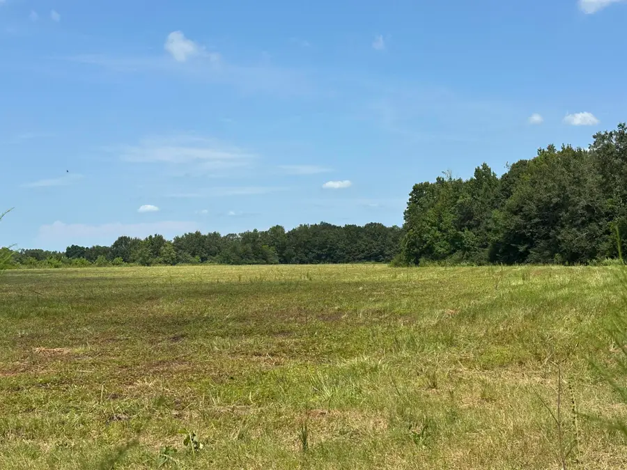 Parcel A Cooper Lane, Holt, FL 32564 - #2