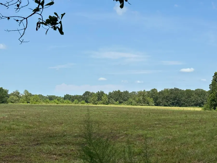 Parcel A Cooper Lane, Holt, FL 32564 - #3