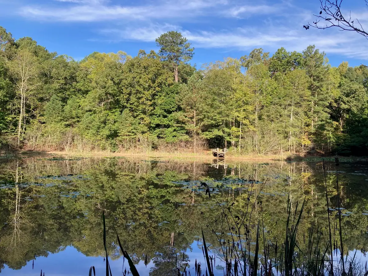 2354 Elders Mill Road, See Remarks, FL 00N/A - #1