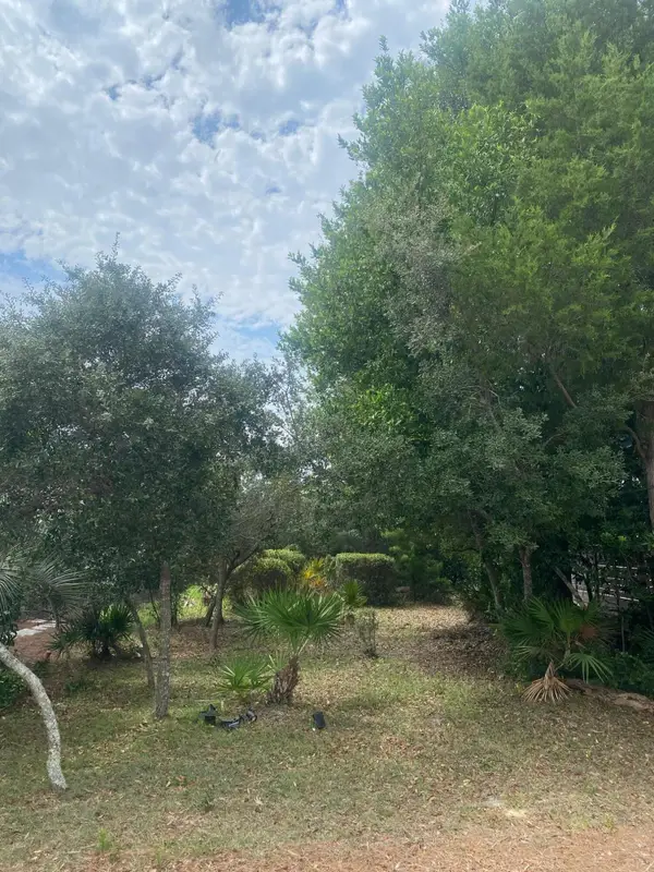 37 Saint Vincent Lane, Inlet Beach, FL 32461