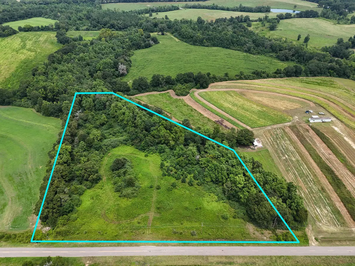 7 Acres NE County Road 32, Opp, AL 36467 - #1