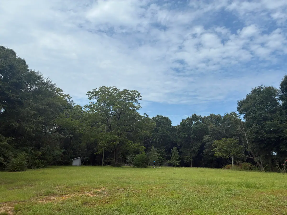 423 E Tedder Road, Defuniak Springs, FL 32433 - #1
