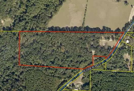423 E Tedder Road, Defuniak Springs, FL 32433 - #2