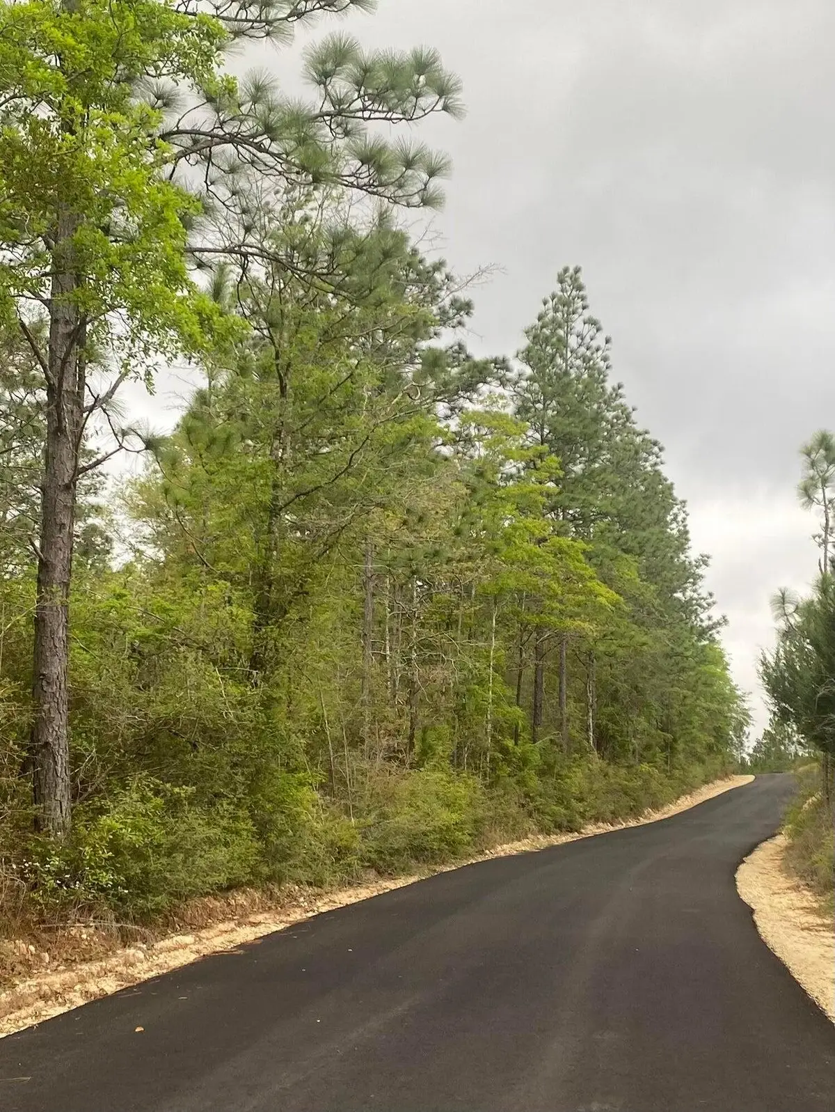 x Sherman Kennedy Road, Baker, FL 32531 - #1