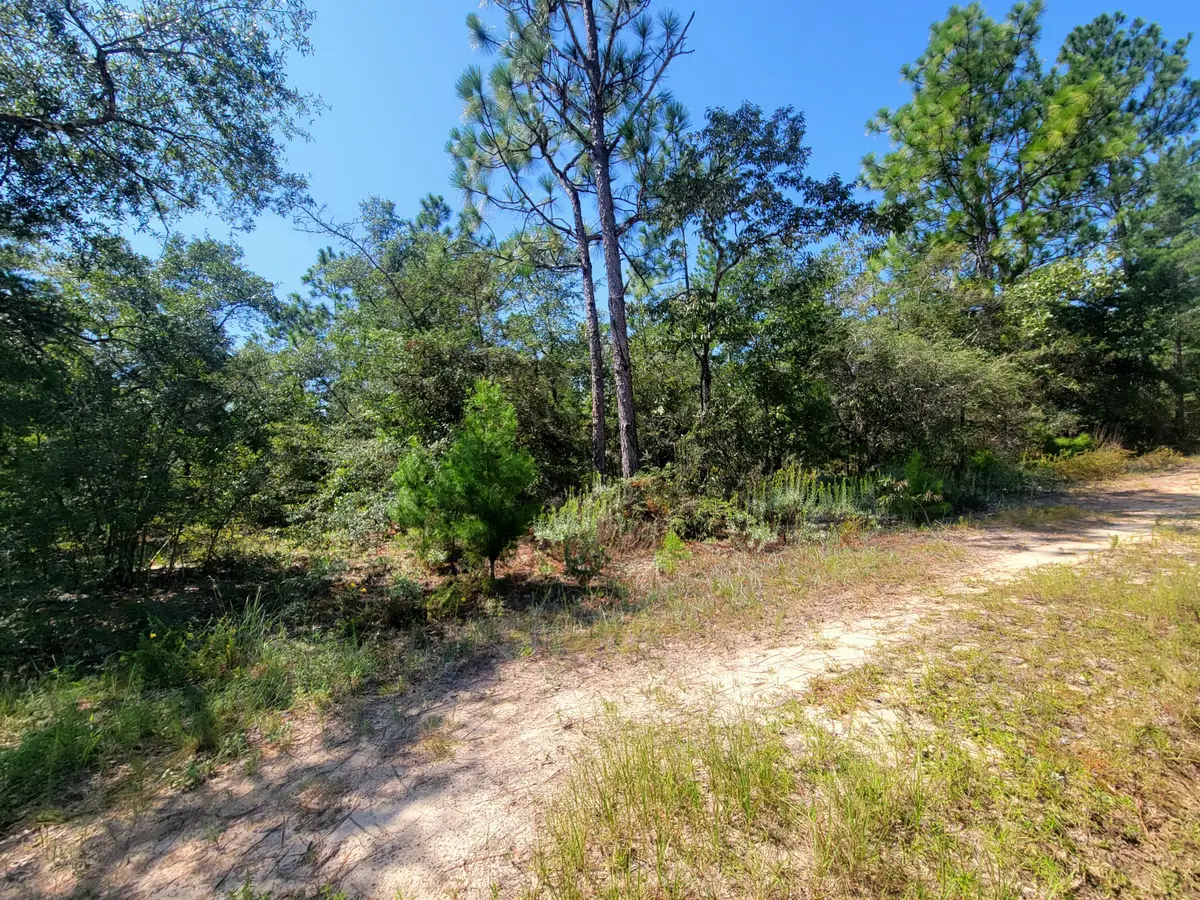 1 ac. Margaret Boulevard, Defuniak Springs, FL 32433 - #1