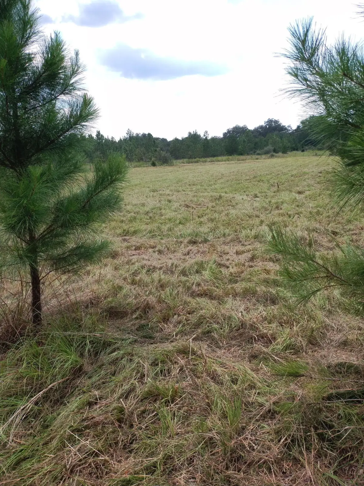 9+/- AC Munson Hwy Road, Milton, FL 32570 - #1
