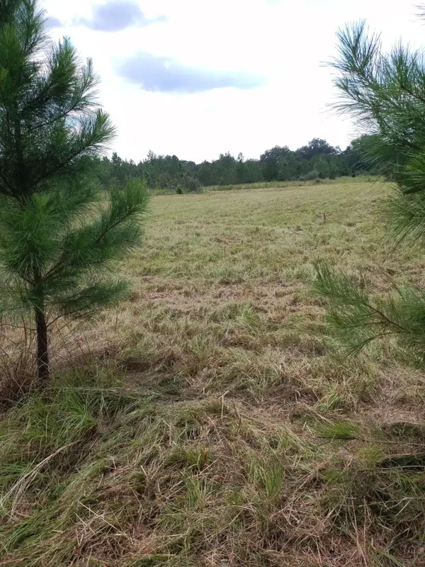9+/- AC Munson Hwy Road, Milton, FL 32570