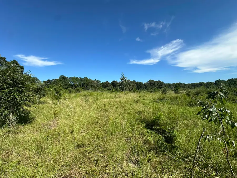 9+/- AC Munson Hwy Road, Milton, FL 32570 - #2