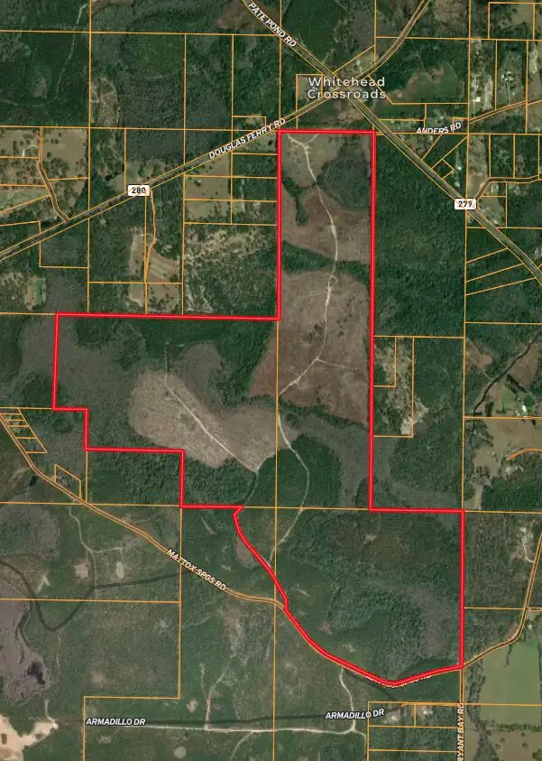 Tract#6418 N Mattox Springs Road, Caryville, FL 32427 - #1
