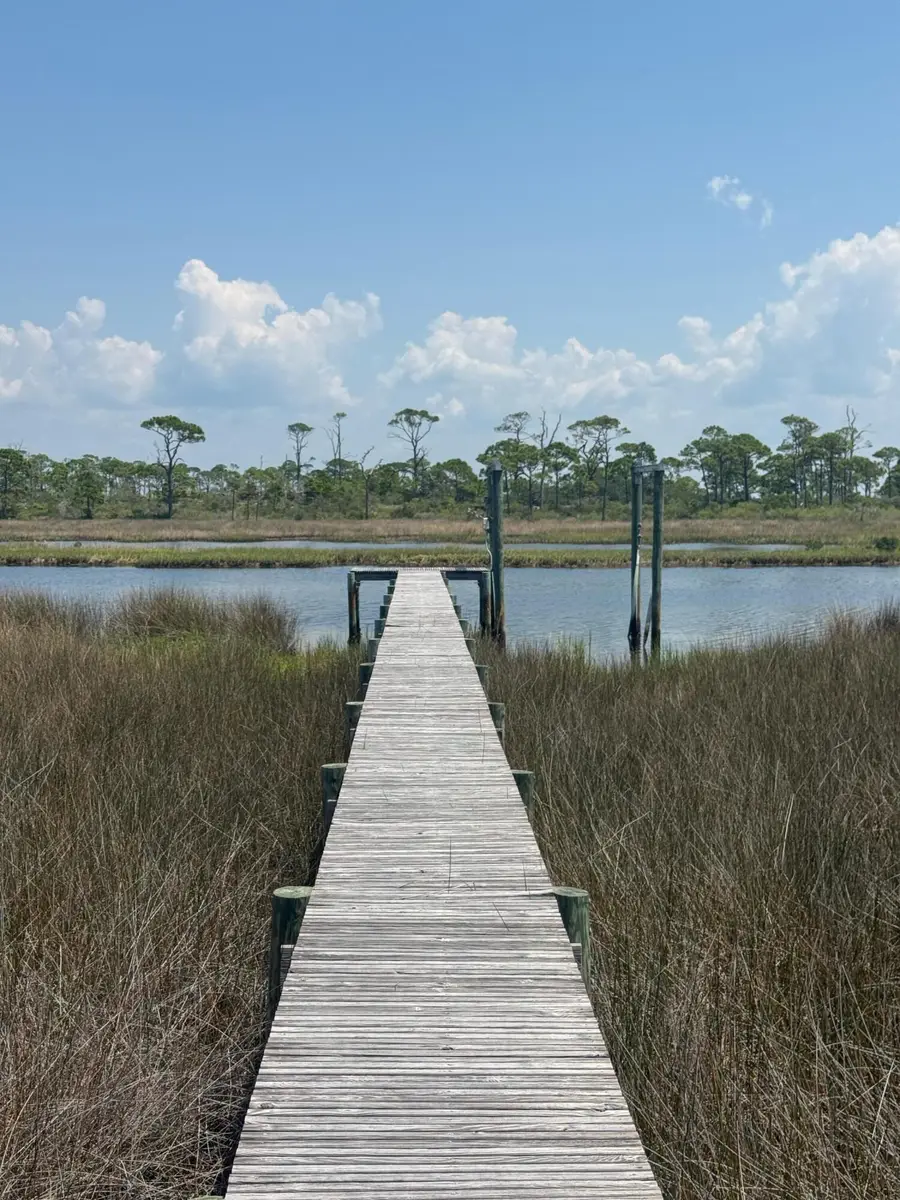 4746 Cape San Blas Road, Cape San Blas, FL 32456 - #2