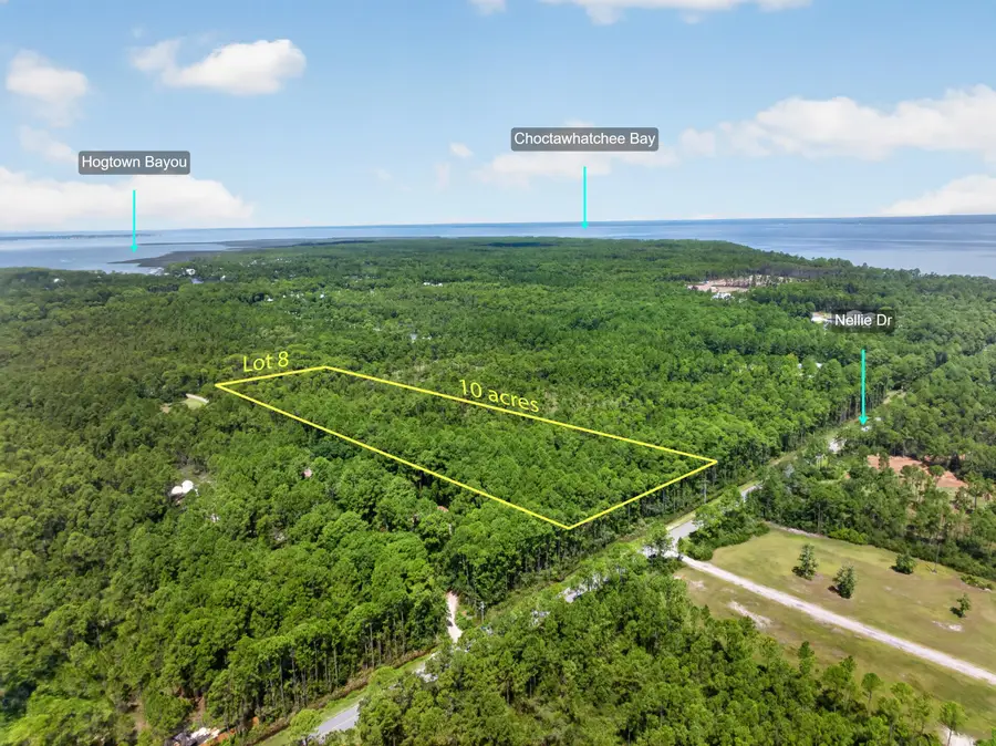 10 acres Nellie Drive, Santa Rosa Beach, FL 32459 - #3