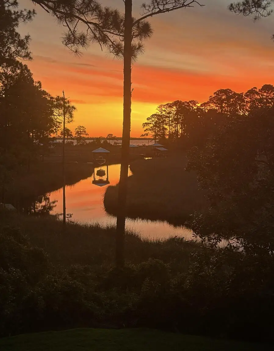 45 Days Lane, Santa Rosa Beach, FL 32459 - #3