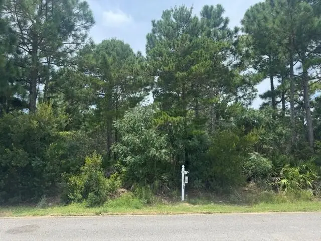 0000 Driftwood Point Road, Santa Rosa Beach, FL 32459 - #3