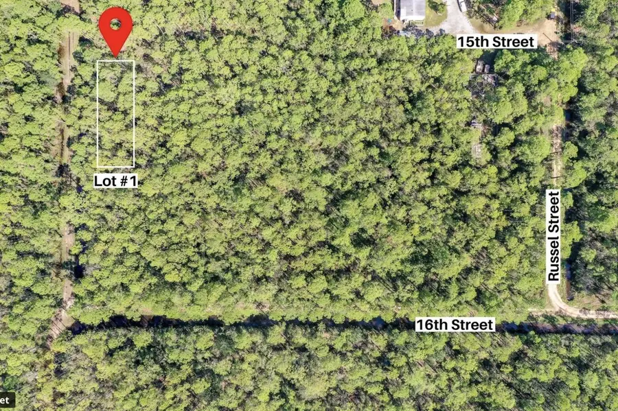 Lots 1,2,3 N 15th Street, Santa Rosa Beach, FL 32459 - #3