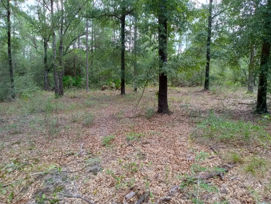 Lots 7 & 8 E Yellow Poplar Avenue, Defuniak Springs, FL 32433 - #1