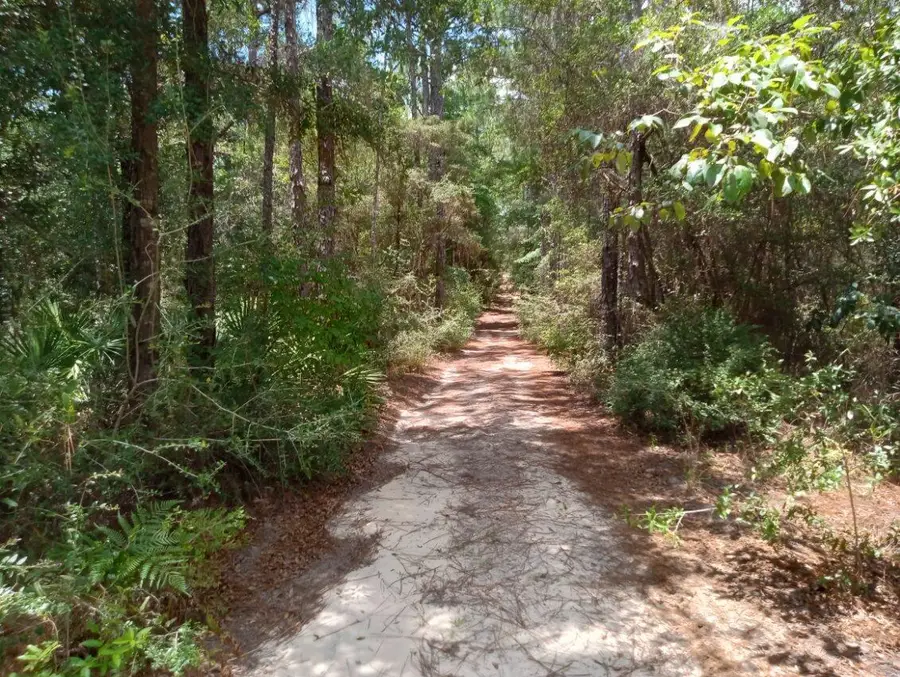 Lots 7 & 8 E Yellow Poplar Avenue, Defuniak Springs, FL 32433 - #3