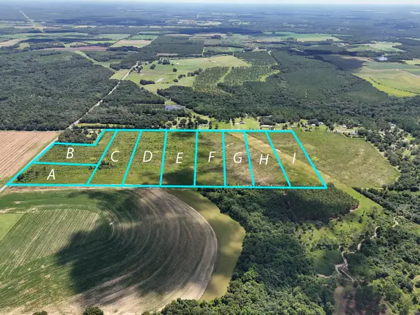 10 Acres D Davidson Road, DeFuniak Springs, FL 32433