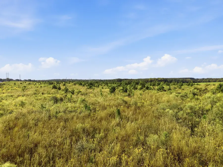 10 Acres H Davidson Road, Defuniak Springs, FL 32433 - #3