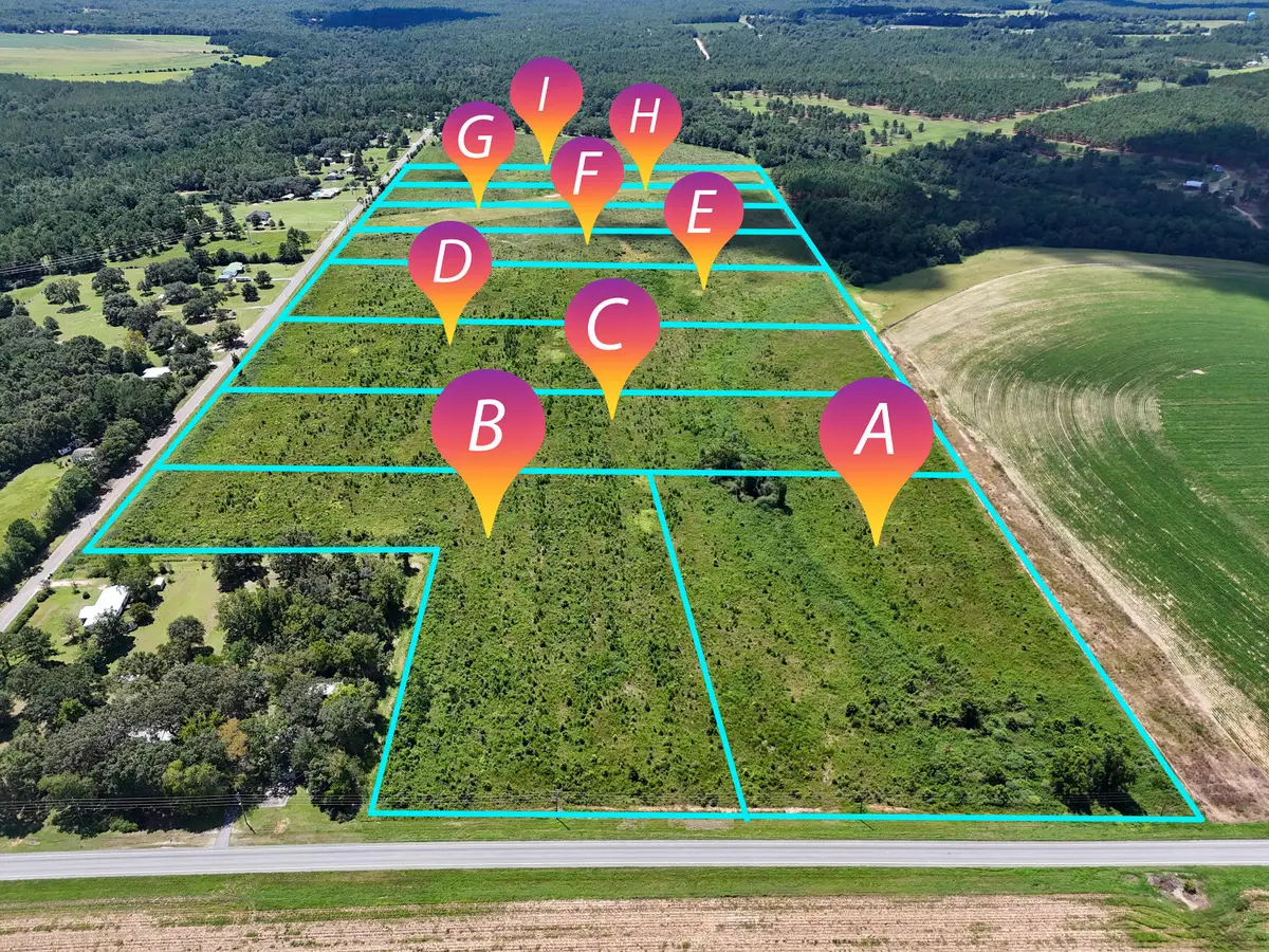 10 Acres A Co Hwy 2a Road, Defuniak Springs, FL 32433 - #1