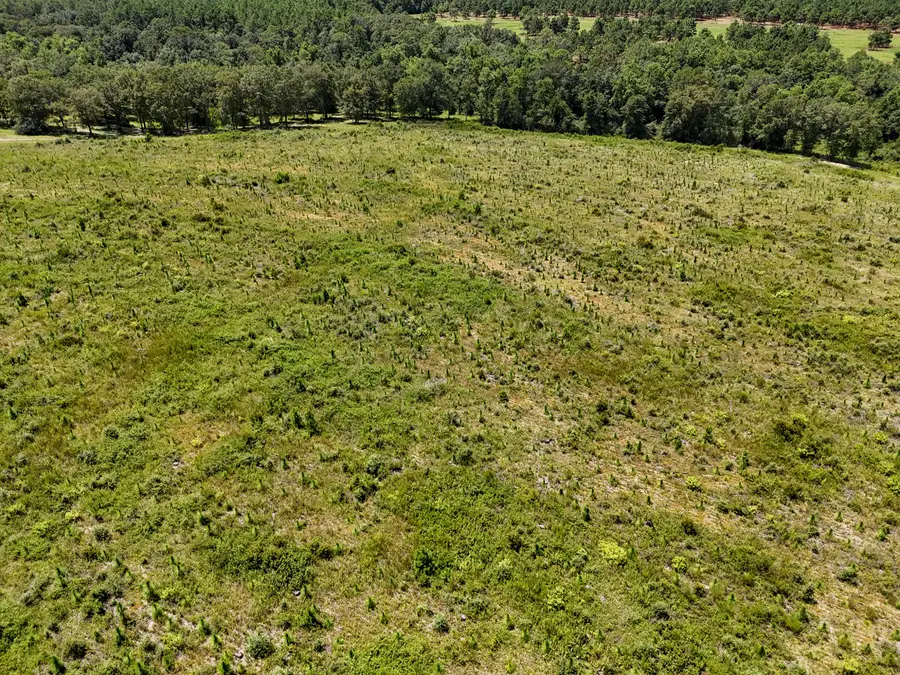 10 Acres A Co Hwy 2a Road, Defuniak Springs, FL 32433 - #3