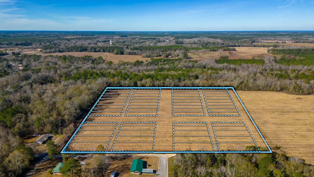 56 Lots 10th Street, Florala, AL 36442 - #1