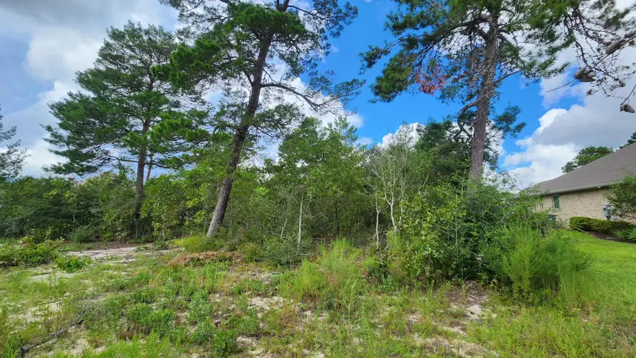Lot 20B W Club House, Freeport, FL 32439 - #3